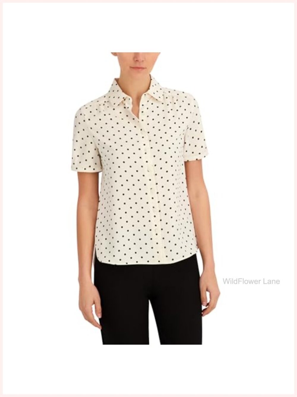 Anne Klein Peter Pan Collar Short Sleeve Button Down Blouse